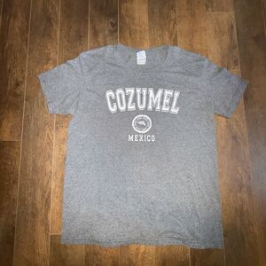 Cozumel Mexico Island Men's M Gray Souvenir Graphic Print Shirt Dolphin Logo